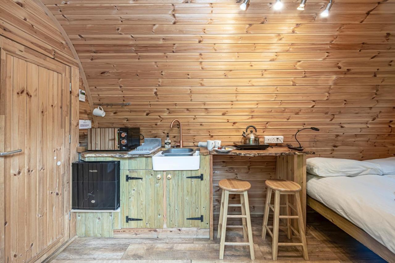 Lodge Nyth Y Goedwig *