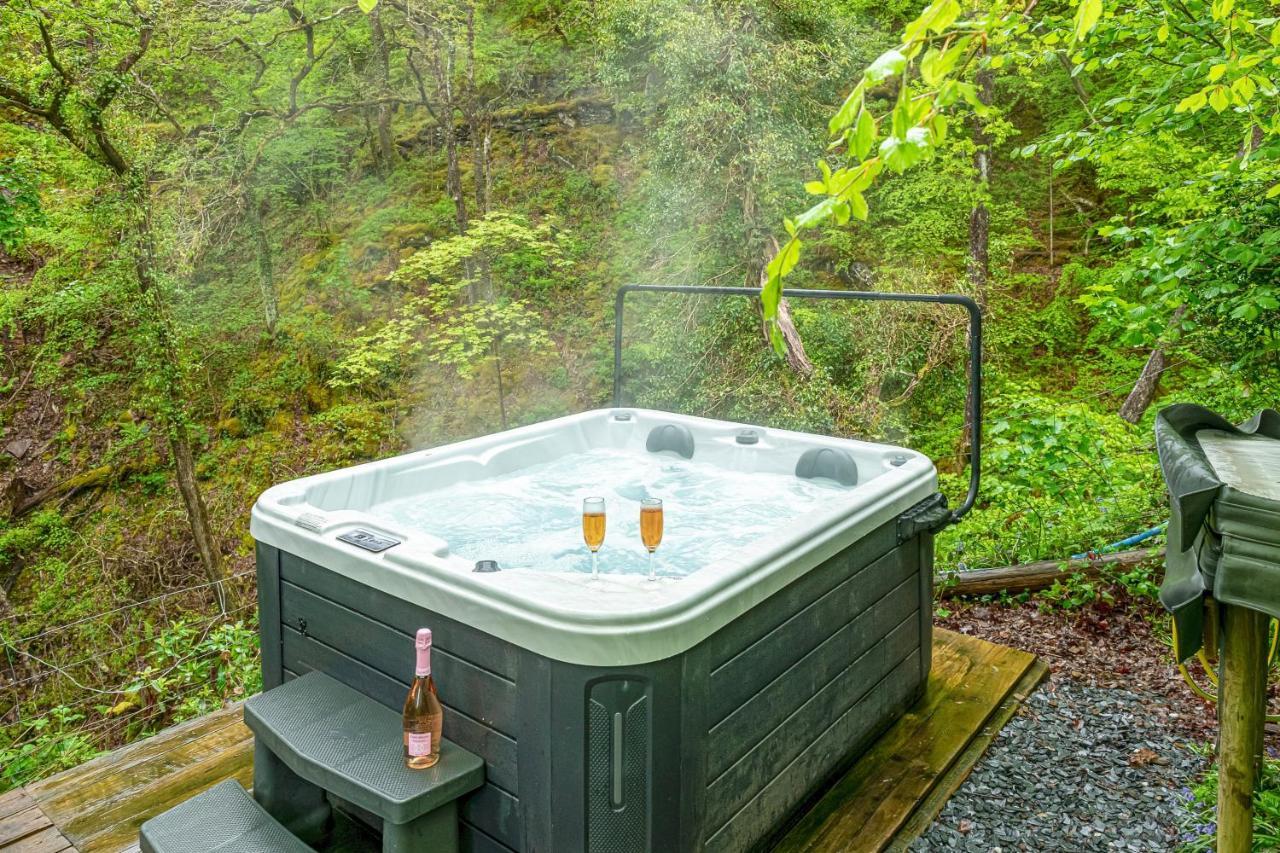 Lodge Nyth Y Goedwig Dolgellau
