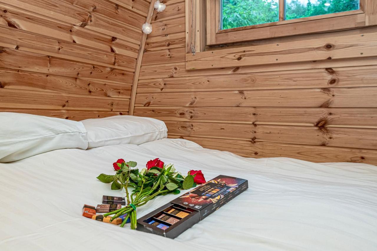 Lodge Nyth Y Goedwig *