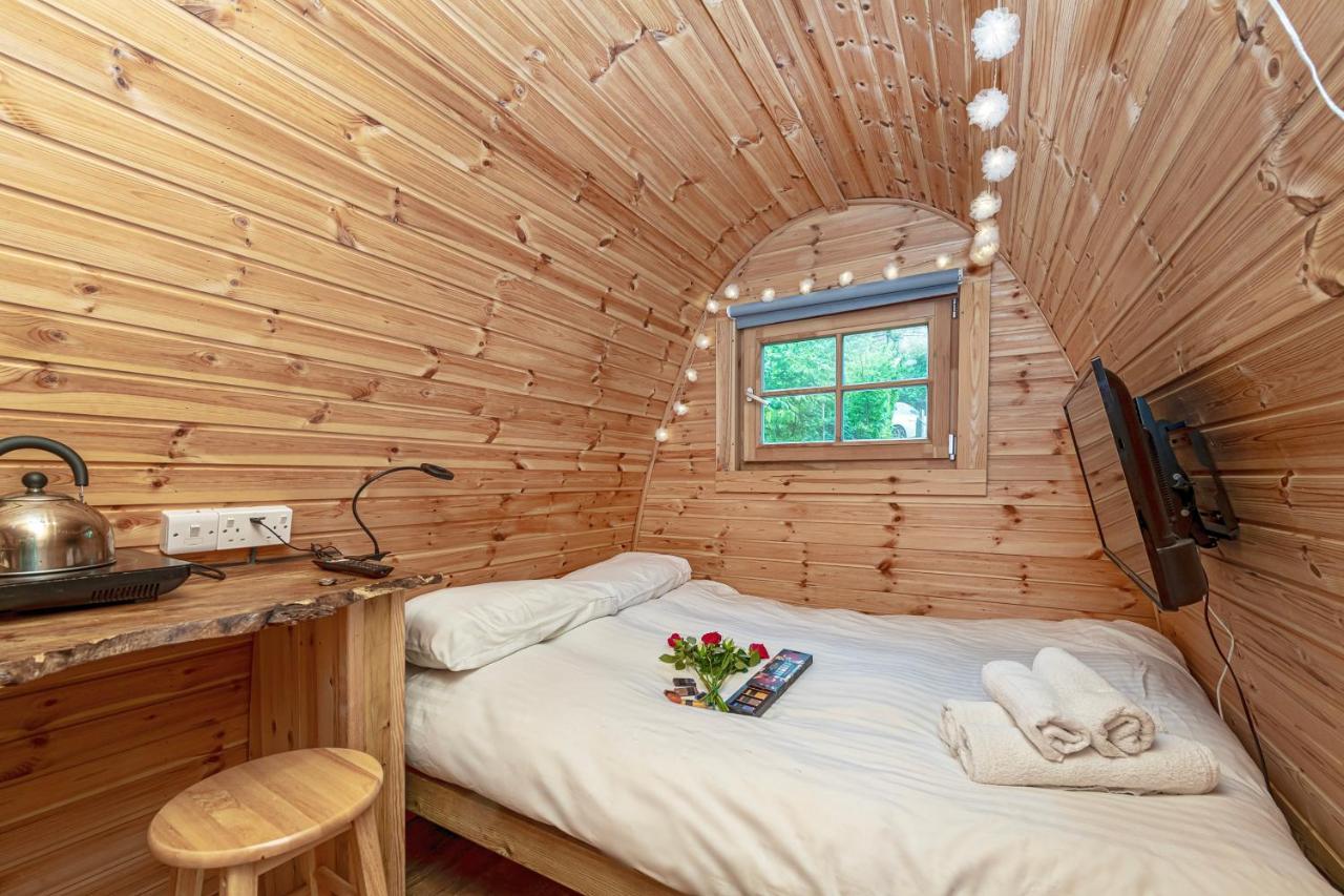 Lodge Nyth Y Goedwig *