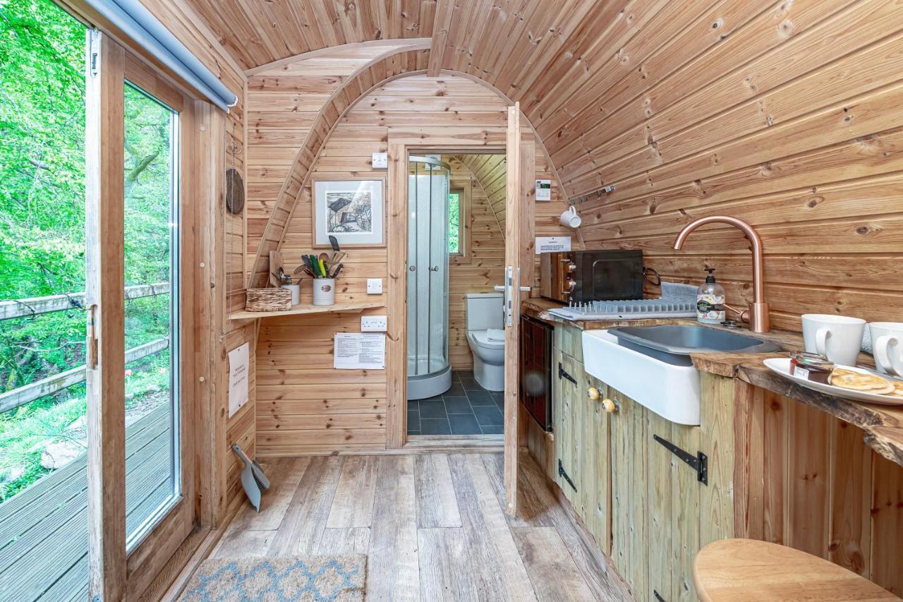 Nyth Y Goedwig Lodge *