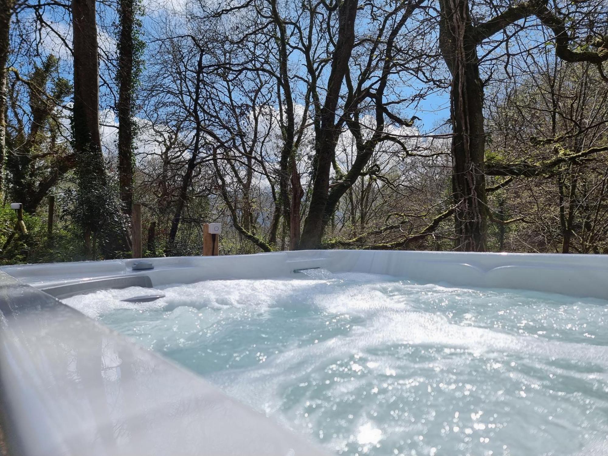 Lodge Nyth Y Goedwig Dolgellau